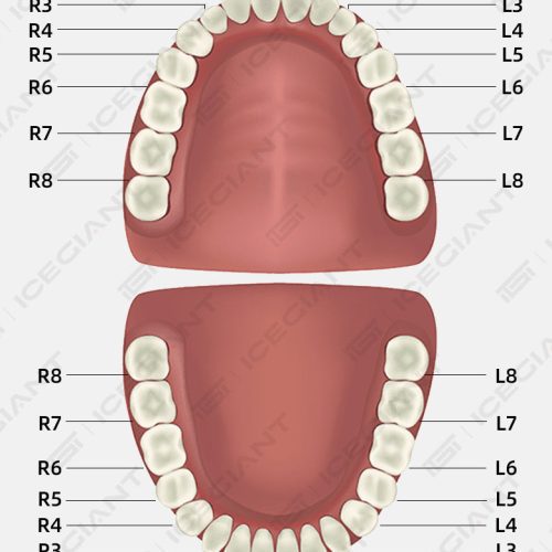 2 ab3367ed e56d 4f19 8c67 f148b64ff4c4